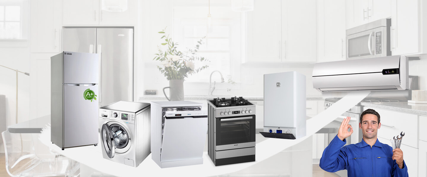 Alaçatı Smeg Servisi